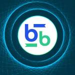 Bitbse Exchange Profile Picture