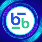 Bitbse Exchange Profile Picture